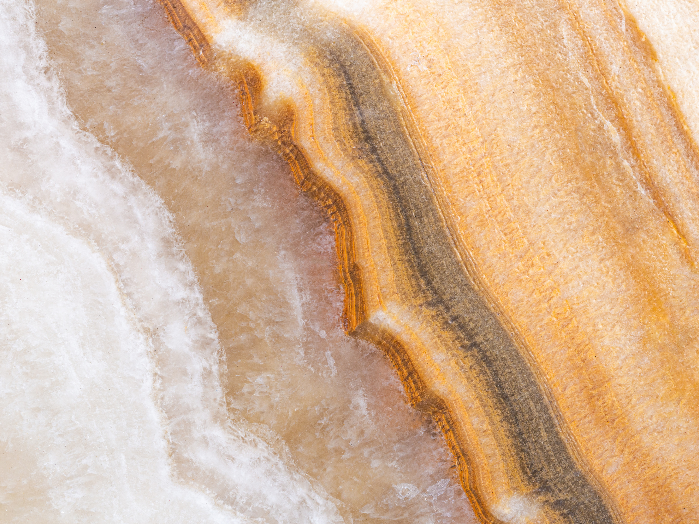 Texture organique évoquant la clarification et la mise en ordre